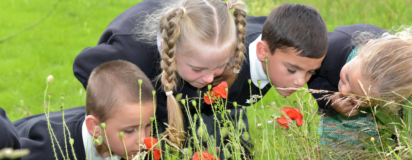 students exploring the habitat garden